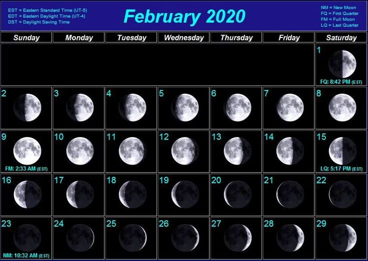 2020 February Calendar Moon Phases Moon Phase Calendar Moon Calendar 