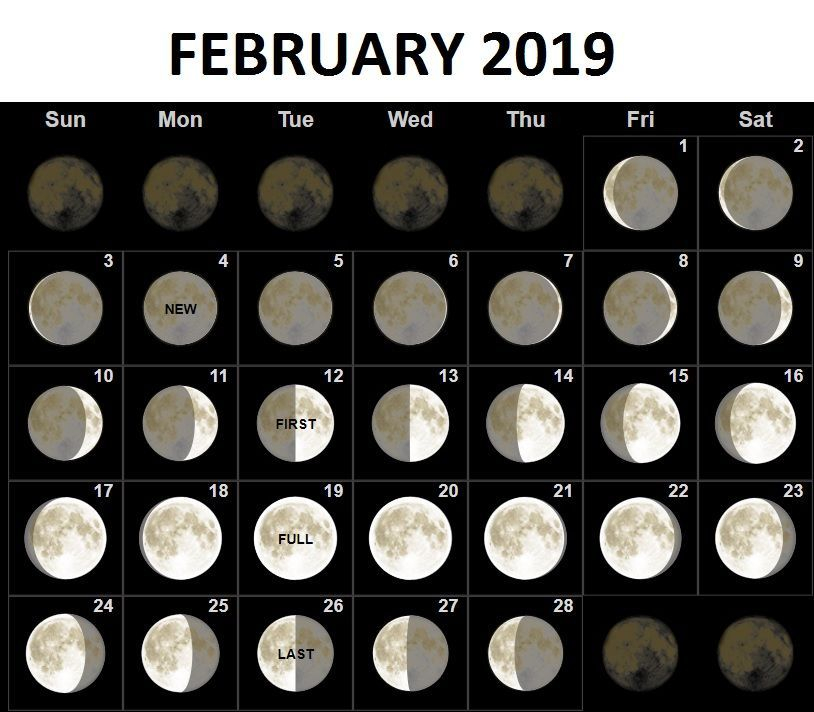 February 2019 Calendar Moon Phases