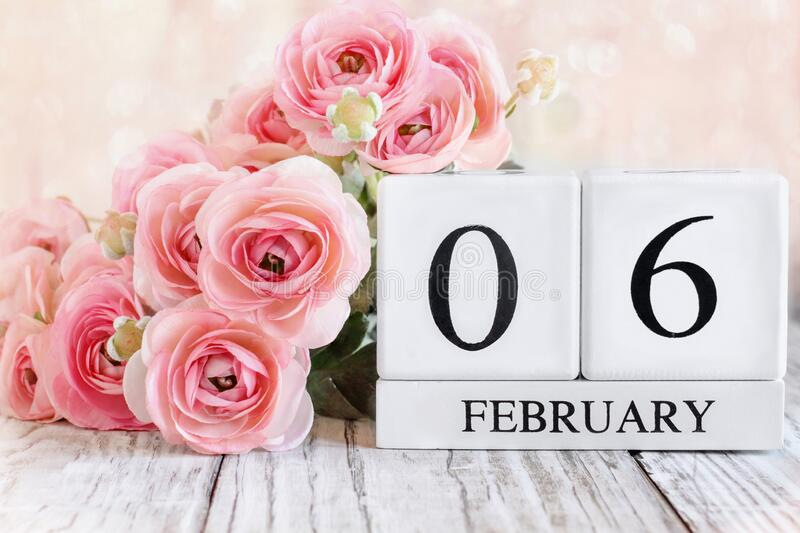 February 6th Calendar Blocks With Pink Ranunculus Stock Image Image 