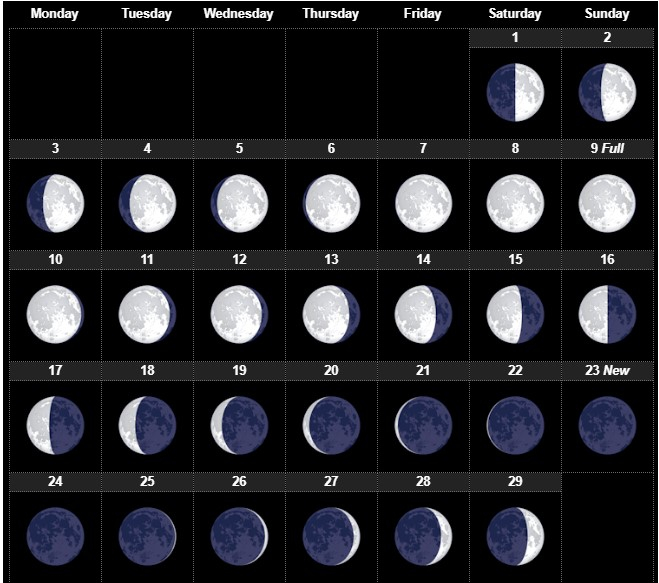 Moon Phases Of February 2020 Lunar Calendar Template Dates With 